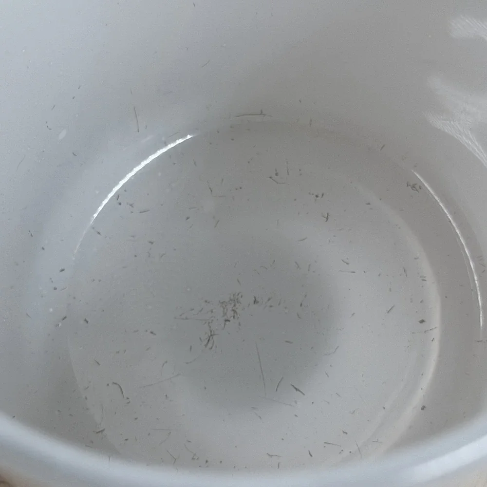 Rae Dunn Eyes Tumbler Cup Minimalist Farmhouse‎ Decor Look Closely Pouch Set